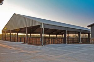 why you need a steel building for your horse stables