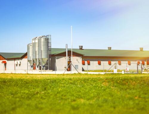 Top 10 Things to Consider When Buying a Metal Barn