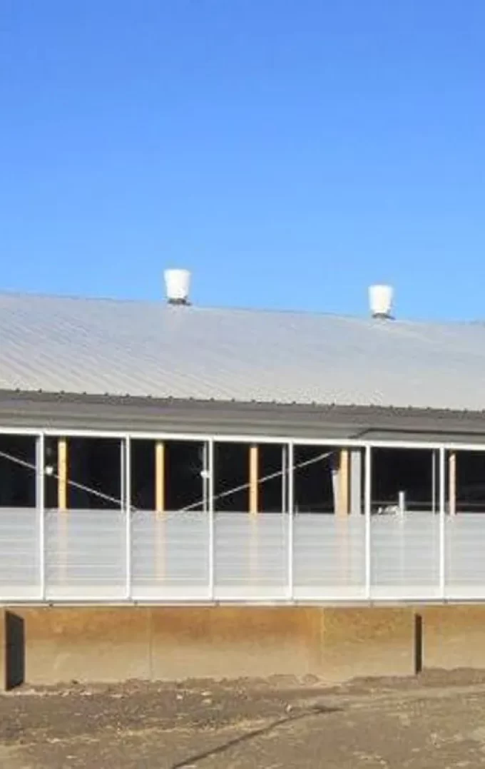 cfs livestock barn building for breeding