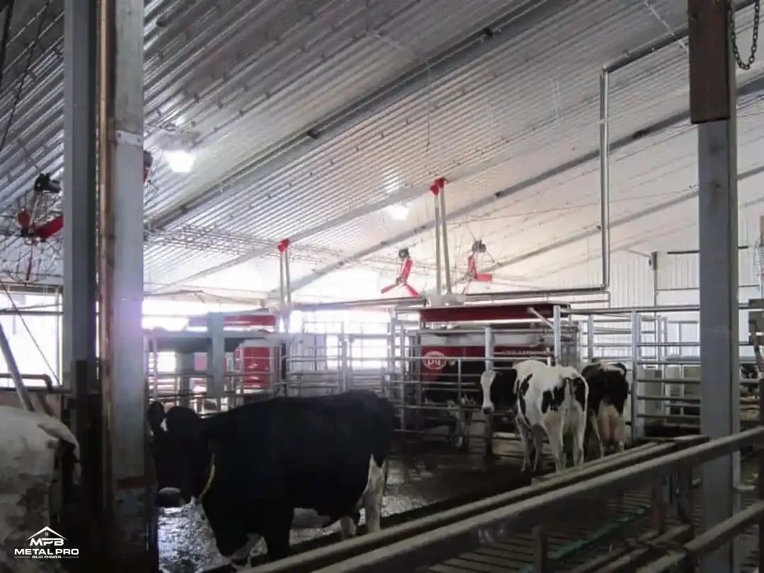 livestock barn with few cattles